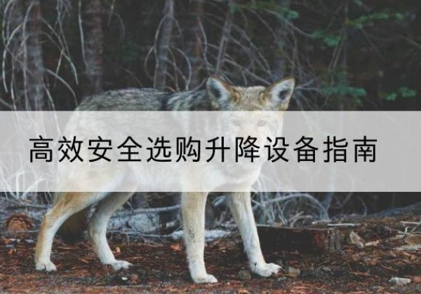 白沙升降货梯厂家推荐-*安全选购升降设备指南