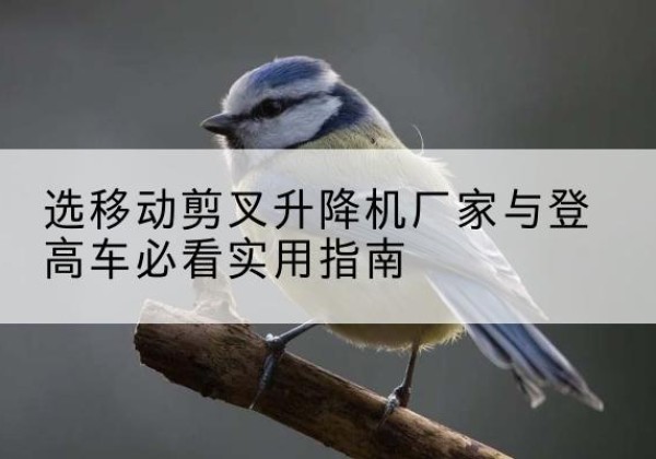 白沙电动升降机厂家-选移动剪叉升降机厂家与登高车必看实用指南