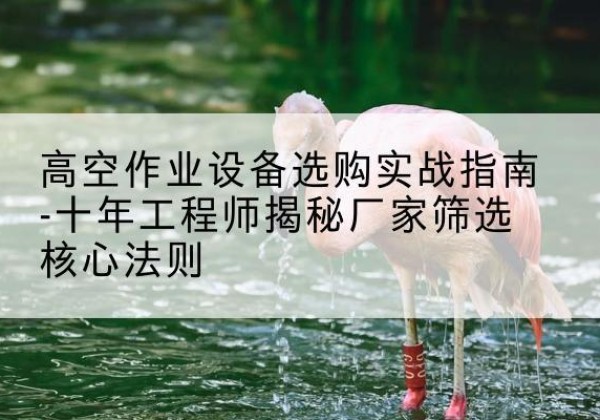 白沙剪叉式升降机厂家-高空作业设备选购实战指南-十年工程师揭秘厂家筛选核心法则